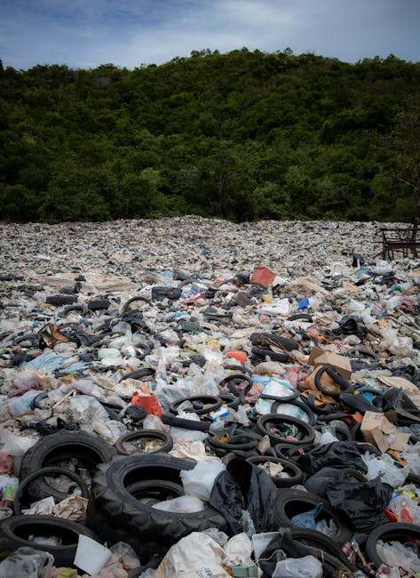 Avoid fines for illegal rubbish dumping in Seven Sisters