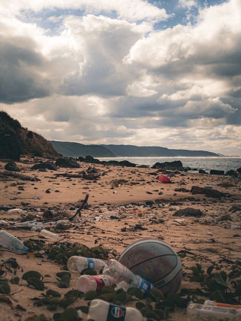 Handle access issues for rubbish clearance in Seven Sisters
